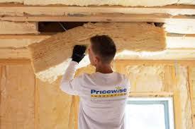 Professional Insulation Services in Lamar, TX