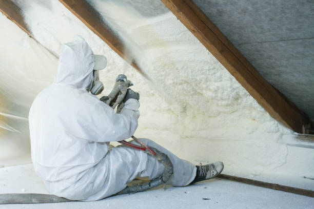 Thermal Imaging for Insulation Gaps